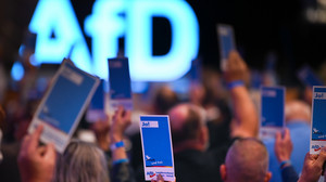 AfD-Parteitag in Neuhof: Wer wird neuer Landeschef?