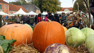 Das sind die 14 schönsten Herbstmärkte in Hessen 2026