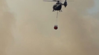 Ministerin: Waldbrand in Eifel wohl größter in NRW-Historie