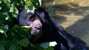 Bilder des Tages