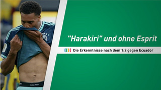 "Harakiri" und schwache Zauberer - Die DFB-Erkenntnisse nach Ecuador