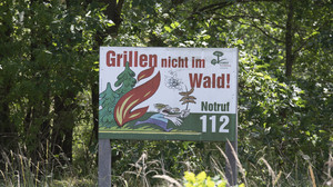 Zwei Waldbrände bei Reichelsheim