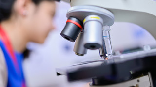 Hessische Schüler bei "Jugend forscht" ausgezeichnet