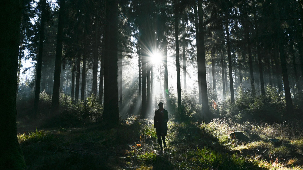 Wald