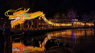 Vom Hasen zum Drachen: China begrüßt ein neues Jahr