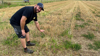 Feldhamster-Bier rettet bedrohte Tierart in Rheinland-Pfalz