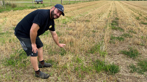 Feldhamster-Bier rettet bedrohte Tierart in Rheinland-Pfalz