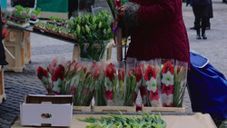 Ostermarkt auf dem Lingplatz in Bad Hersfeld