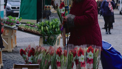 Kunsthandwerker- und Genussmarkt in Gersfeld