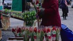 Gersfelder Marktsonntag in Gersfeld