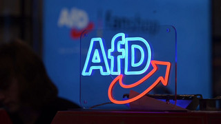 Höchstwert in Umfrage: AfD liegt bei 28 Prozent