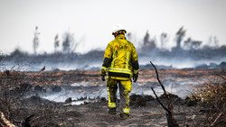 Waldbrand: Hoffnung in Belgien