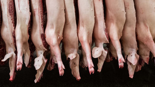 Deutlich weniger Schwein: Fleischproduktion weiter gesunken