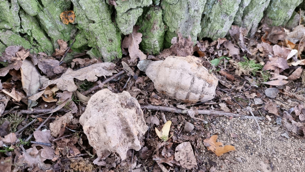 In einem Wald bei Weiterstadt wurden 15 Splittergranaten gefunden.