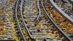 Bahnverkehr bei Mainz gestoppt: Machten Kinder Lagerfeuer?