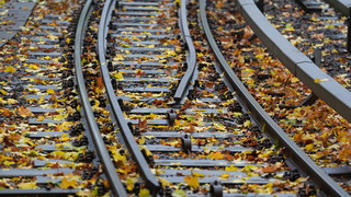Bahnverkehr bei Mainz gestoppt: Machten Kinder Lagerfeuer?