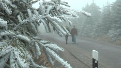 Zurück in den Winter: Frost auf dem Brocken