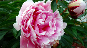 Kreuz und Quer am 28. Mai - wir feiern Pfingsten