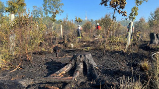 Waldbrand bei Helsa und Kaufungen unter Kontrolle