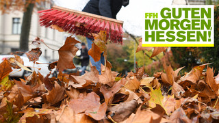 Laub im Herbst: Acht Fakten zum Herbstlaub