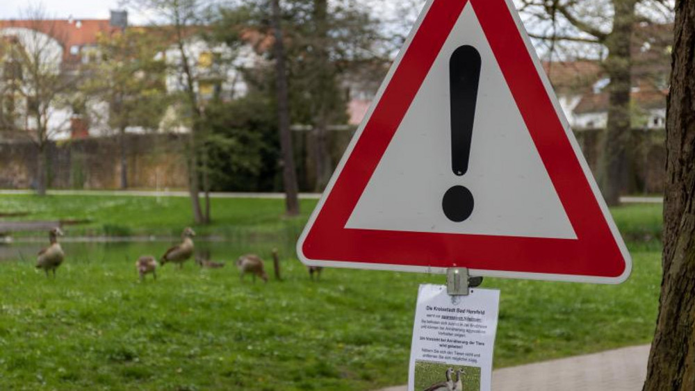 Die Stadt hat einen Zettel aufgehängt. Damit warnt sie vor den aggressiven Nilgänsen.