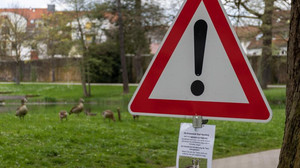 Bad Hersfeld: Bericht über gefährlichen Nilgans-Angriff