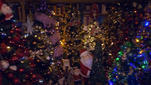 Wieder Weltrekord in Rinteln: 621 Weihnachtsbäume im Haus