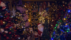 Wieder Weltrekord in Rinteln: 621 Weihnachtsbäume im Haus