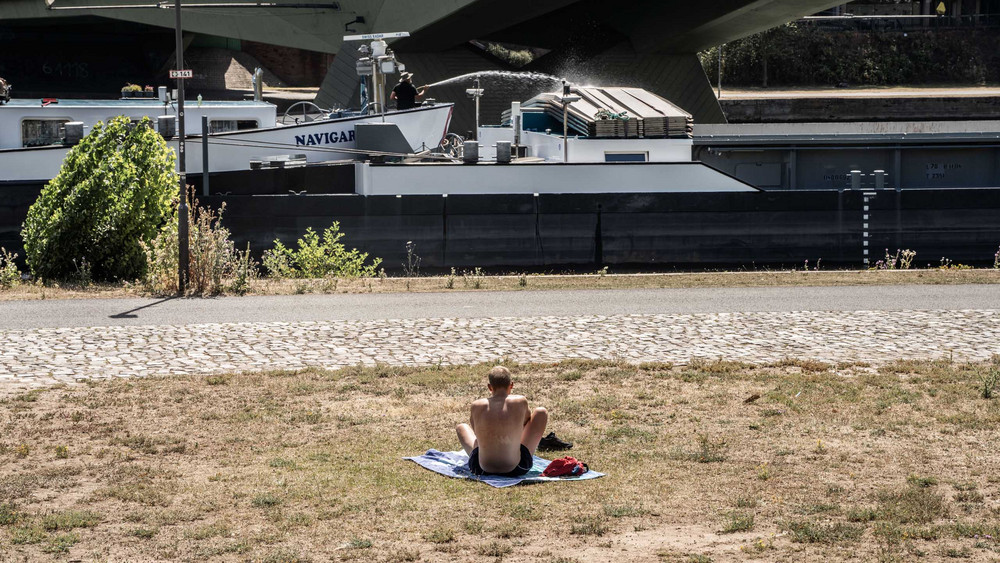 Der trockene Sommer am Main in Frankfurt.