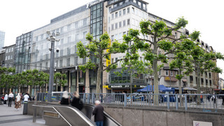 Frankfurt: Mutmaßliche Dealer bei Kontrollen festgenommen