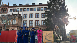 Wiesbadener Weihnachtsbaum heißt Leon