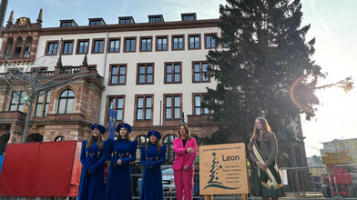 Wiesbadener Weihnachtsbaum heißt Leon