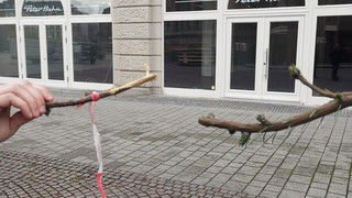 Wiesbadener Weihnachtsbaum da - ohne Spitze, Vandalen brachen sie ab