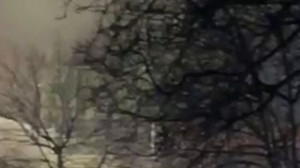 Großeinsatz in Minden: Feuer bricht in Druckerei aus