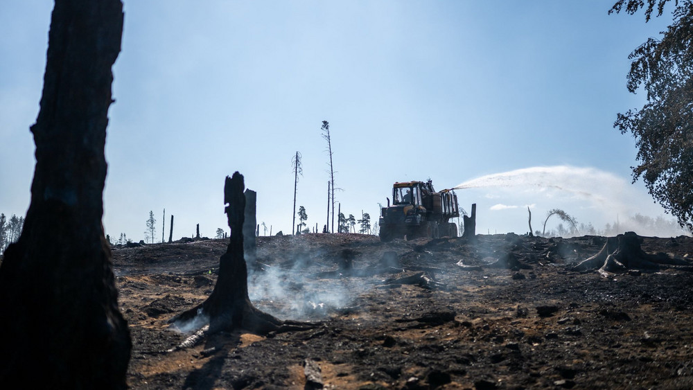 Waldbrand in Thüringen - Saalfelder Höhe