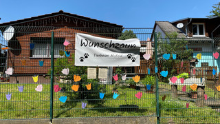 Sommerfest im Tierheim Alsfeld zum Tag des Hundes