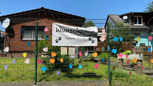 Sommerfest im Tierheim Alsfeld zum Tag des Hundes