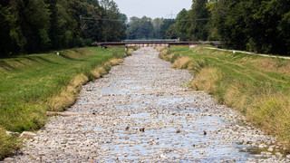Grundwasser in Hessen trotz Regen sehr niedrig