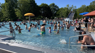 Starke Saison im Rosenbad in Fulda: So viele Menschen kamen