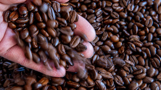 Preisvergleichsapp Smhaggle: Kaffeepreise seit Jahresbeginn gestiegen