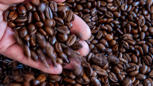 Preisvergleichsapp Smhaggle: Kaffeepreise seit Jahresbeginn gestiegen