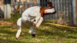 Klosterwald: Familiärer Tierpark in Mittelhessen