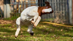 Klosterwald: Familiärer Tierpark in Mittelhessen
