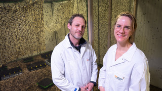 Hessischer Gründerpreis: Probenda, Ceres, Krastel, kleine Riesen