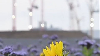 Mehr Arbeitstage 2026: Spürbarer Effekt für das BIP?