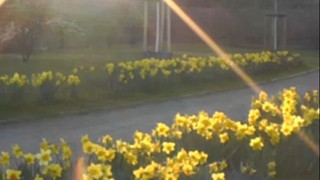 Ostern wird leicht unbeständig – Sonne vor allem am Montag