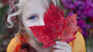 50 Gründe für einen Happy Herbst