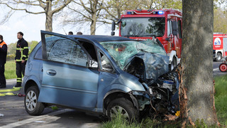 Tödlicher Unfall bei Bischofsheim: 74-Jähriger fährt gegen Baum