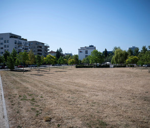 Trockenheit in Hessens Städten: Kosten für Parks explodieren