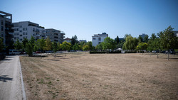 Trockenheit in Hessens Städten: Kosten für Parks explodieren